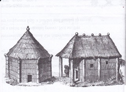 タイーノ族首長の小屋
